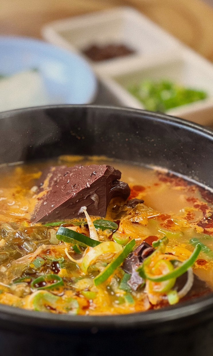  삼척 국밥맛집 송림해장국 솔직후기
