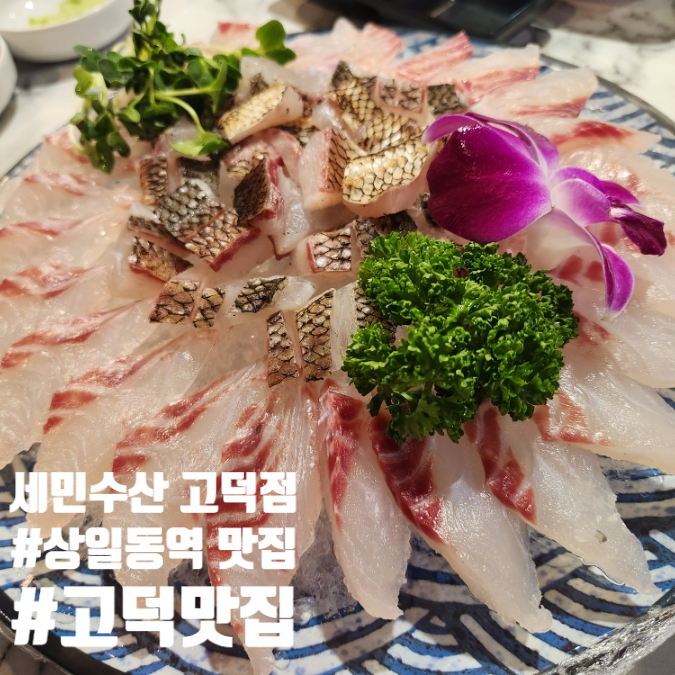  고덕맛집 상일동역맛집 세민수산 고덕점 벵어돔 감성돔 회