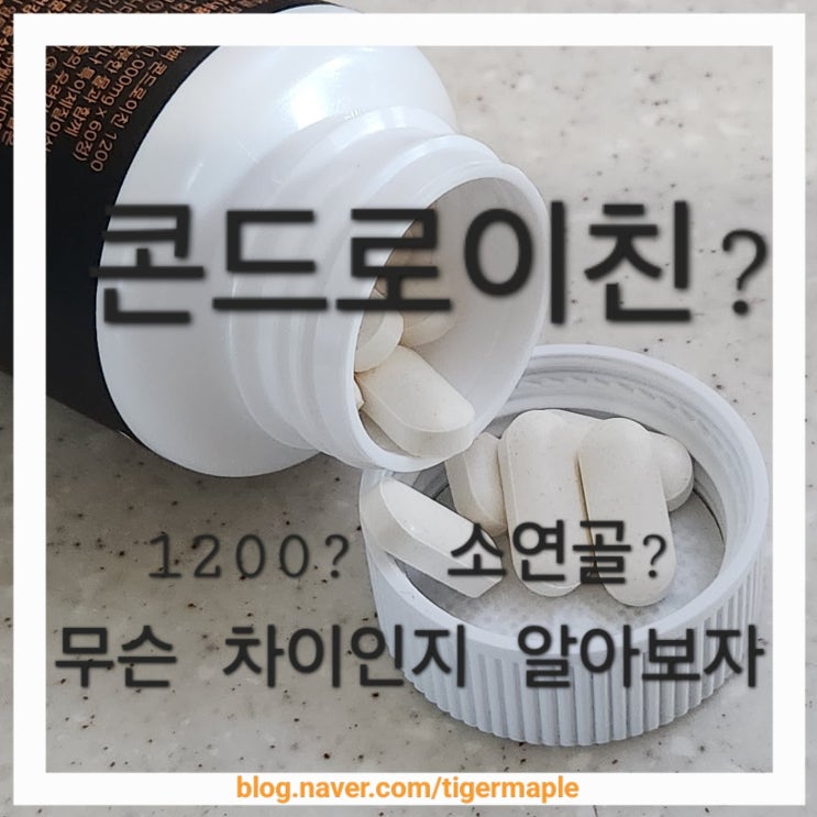 무릎관절 영양제 | 콘드로이친1200 소연골 효과있나 무릎관절 영양제 | 콘드로이친1200 소연골 효과있나
