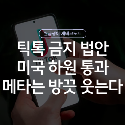 미국 틱톡 <b>금지법</b> <b>하원</b> 통과 - 메타 주가에 날개를 달아줄까?