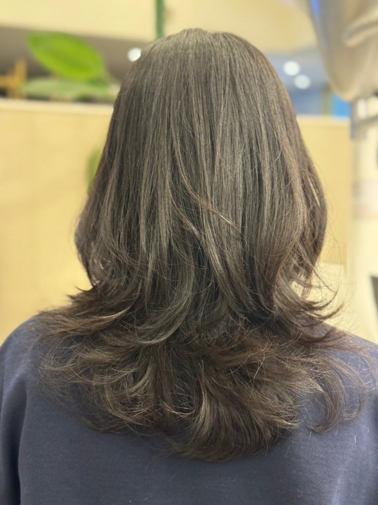  의정부 레드스토리 은하 수석디자이님 한테 발란스를 고려해 맞춤 디자인 허쉬컷 하고 왔습니다.