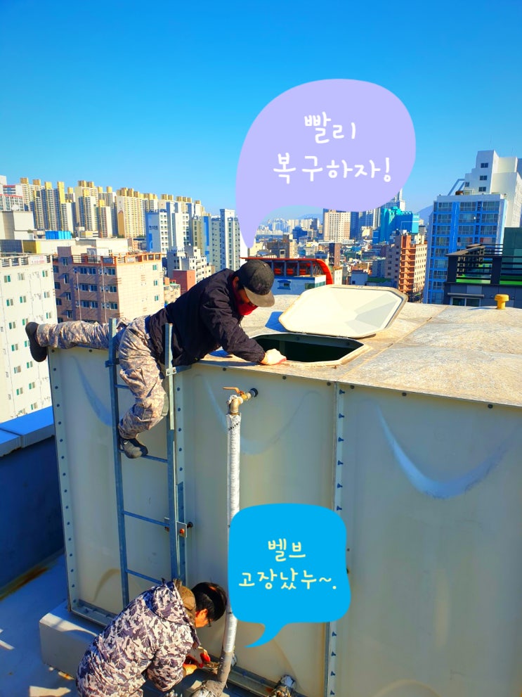  =현장 기록= [ 새벽에 물벼락...우짠일이고 ]