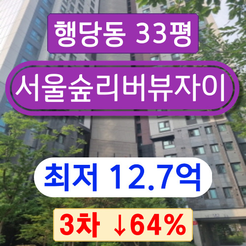서울아파트경매 2022타경1439 성동구 행당동 서울숲리버뷰자이 33평 3차 경매 ↓64%