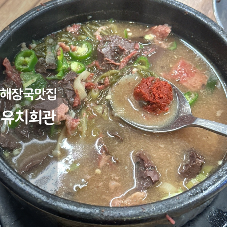 분당 유치회관 선지해장국 우거지해장국 선지국밥 맛집