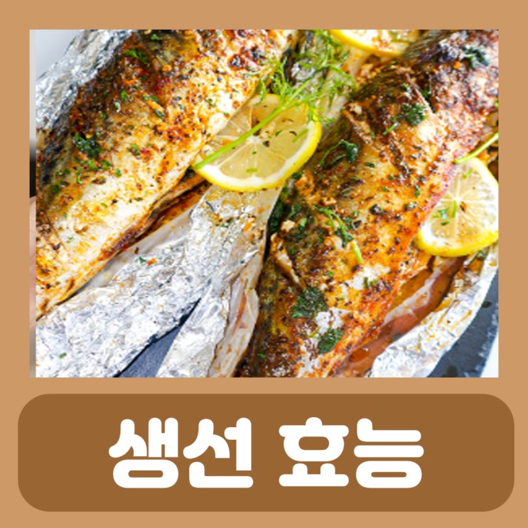  고등어 연어 메기 효능 칼로리
