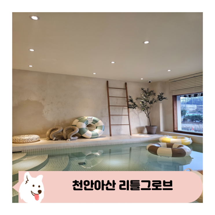  천안아산 프라이빗 워터룸 키즈풀 리틀그로브 재방문 후기