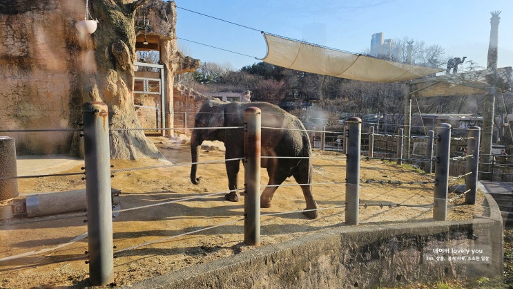 서울 어린이대공원 상상나라 입장료 동물원