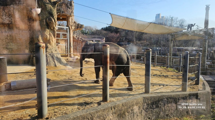  서울 어린이대공원 상상나라 입장료 동물원
