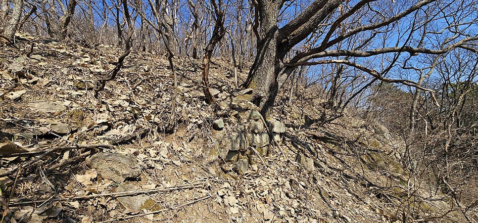 대왕산 사진 2
