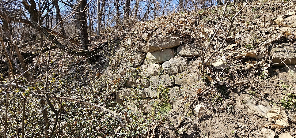 대왕산 사진 3