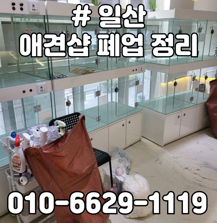  일산 애견샵 폐업 정리