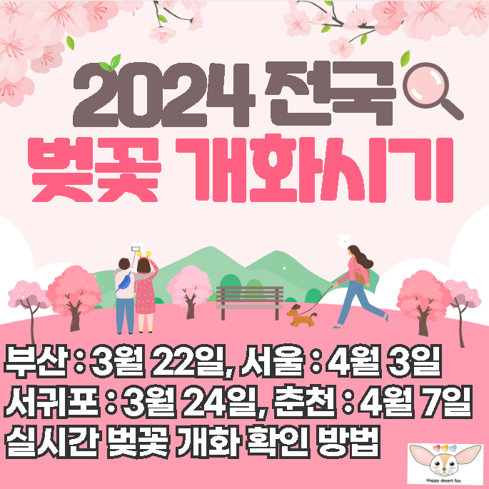 2024 벚꽃 개화시기 전국 명소 확인! (+ 실시간 개화 확인 방법)