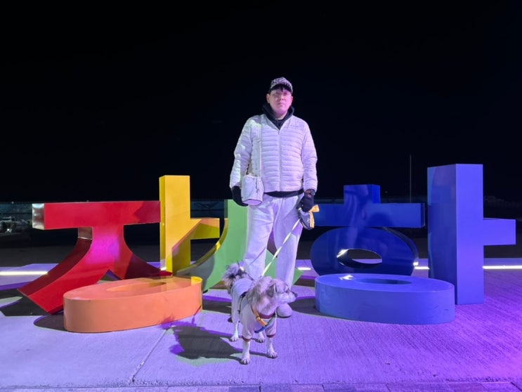  속초 강아지와 가기 좋은 장사항해변 옆에 항구 있음!