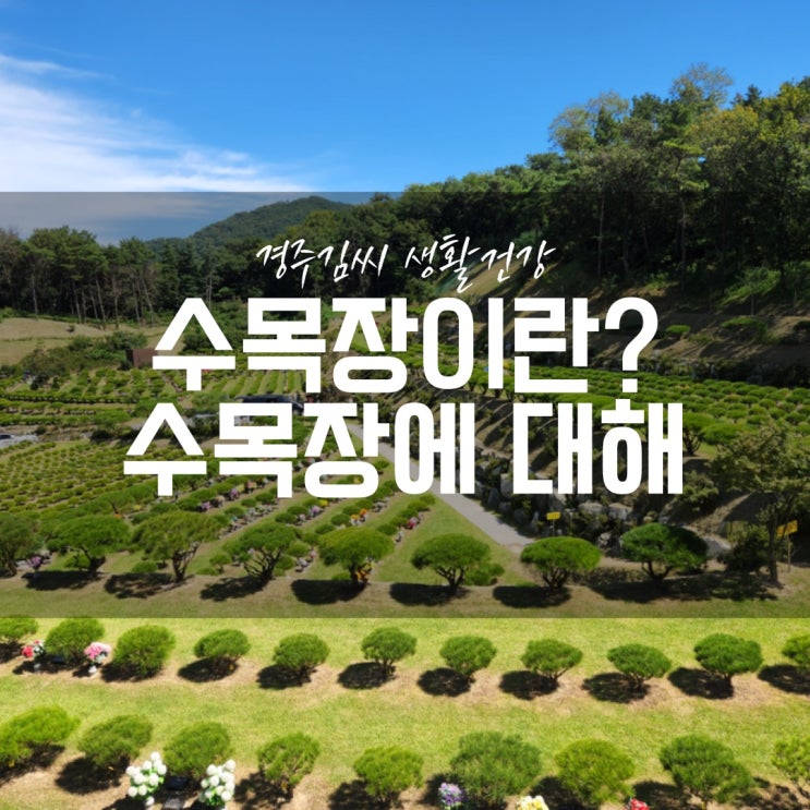  수목장이란? 수목장에 대하여