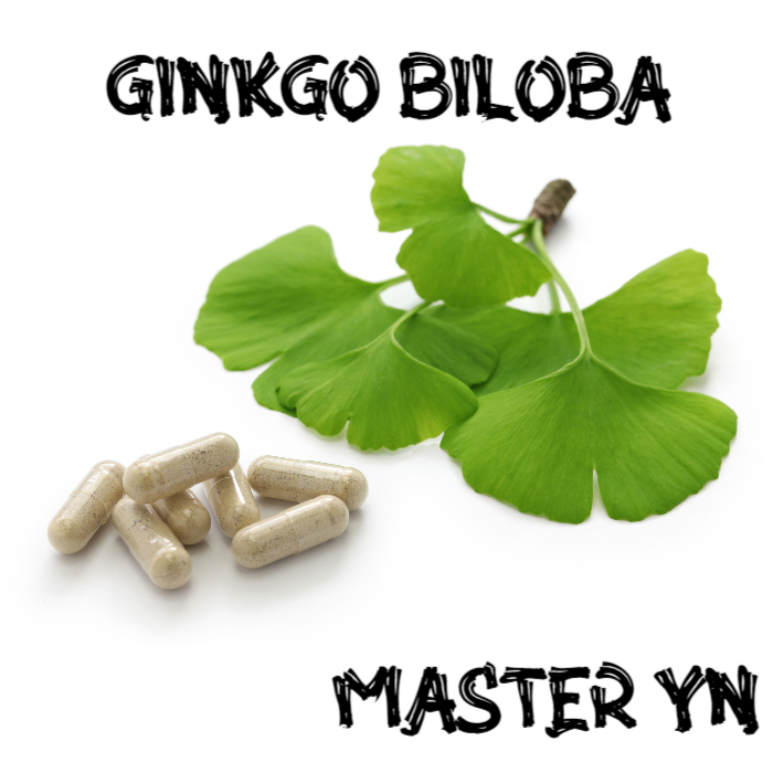  쿄릭 GINKGOBILOBA 징코빌로바 미국영양제확인해보기