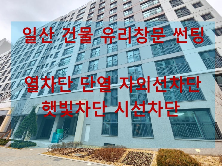  일산 아파트 사무실 유리 창문 열차단 상가 자외선차단 햇빛차단 썬팅 필름 시공
