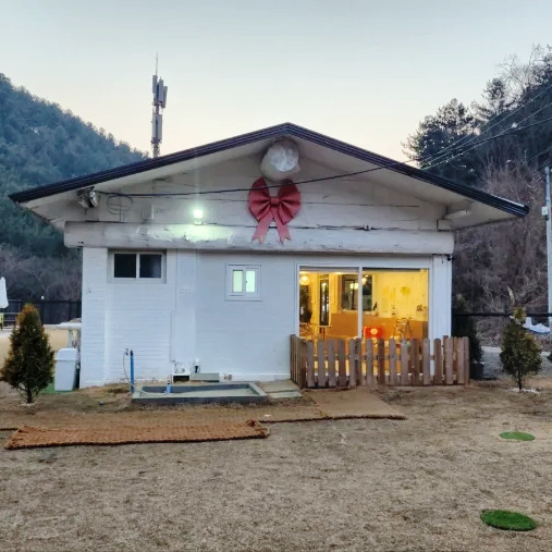 남양주 애견카페 기지개 밤에도 가기좋은 대형견 애견운동장