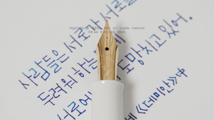  서로가 서로를 두려워하는 (펠리칸 M200 EF닙으로 필사하기)
