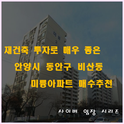 재건축 투자로 매우 좋은 안양시 동안구 비산동 미륭아파트 매수 추천!!