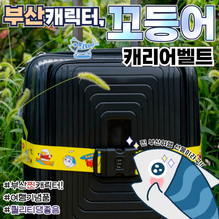  캐리어벨트 부산여행기념품 추천 꼬등어 만다꼬