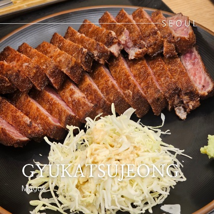  마곡 일식 서울식물원 근처 애견동반가능식당 규카츠정