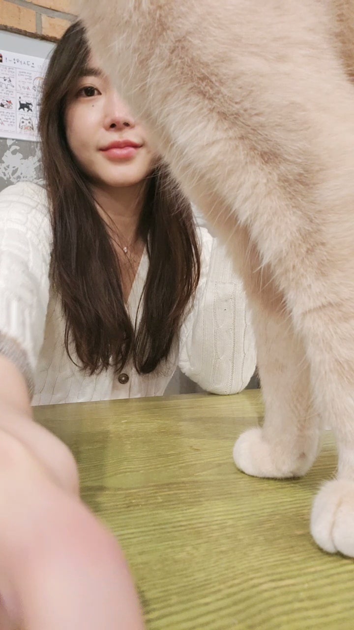  방딩이 치워랏 오랜만에 고양이카페