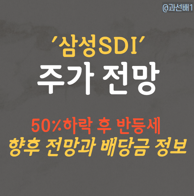  삼성SDI 주가 전망과 배당금(ft.천만원 주식 투자 후기)