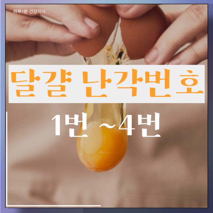  달걀 난각번호 1번 2번 3번 4번 가격