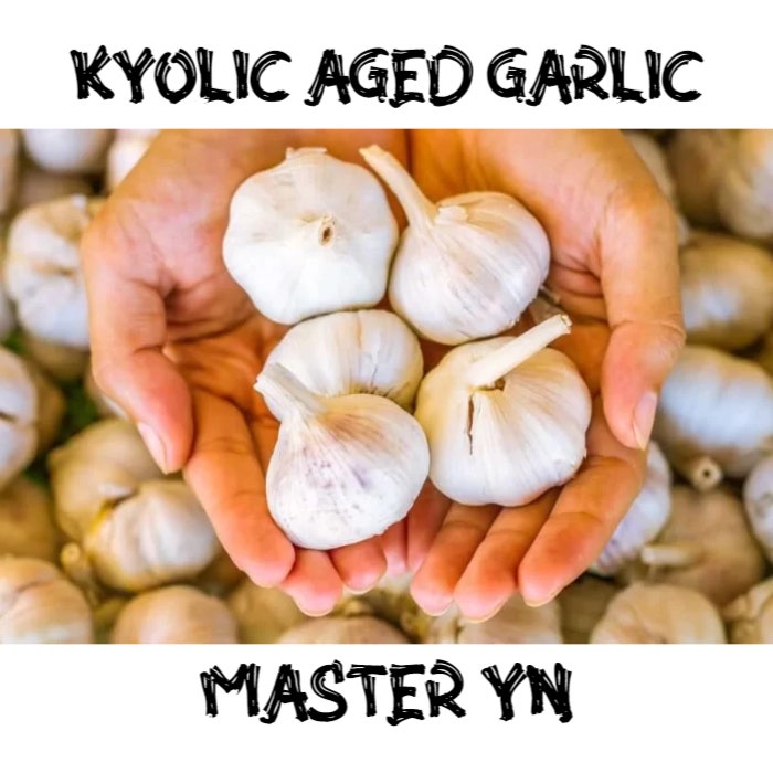  Kyolic 쿄릭숙성마늘 이뮨서포트 영양제확인해보기