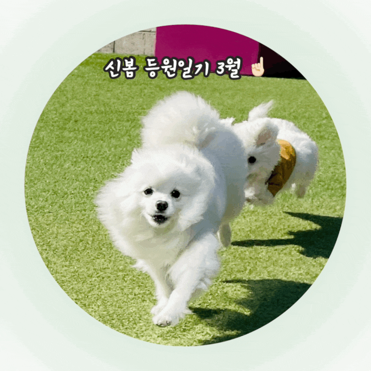 신봄 등원일기 3월 1주 신봄 등원일기 3월 1주