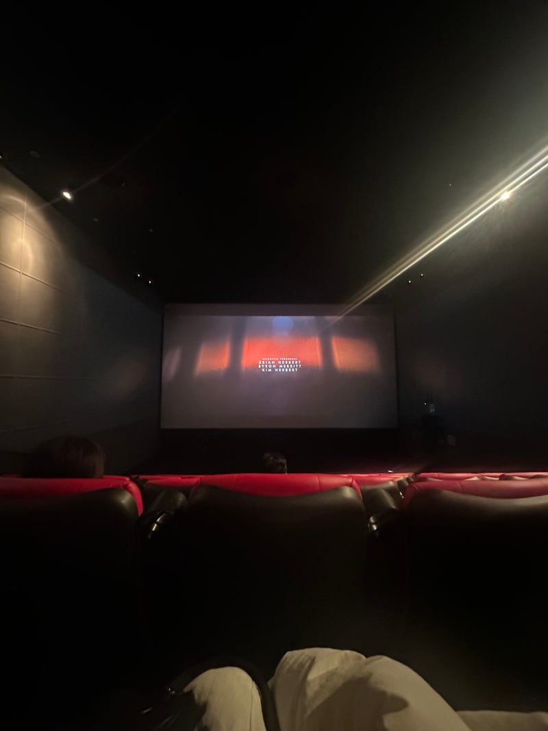 [듄 2] 안산 CGV Screen X 관람 후기 / Screen X 명당