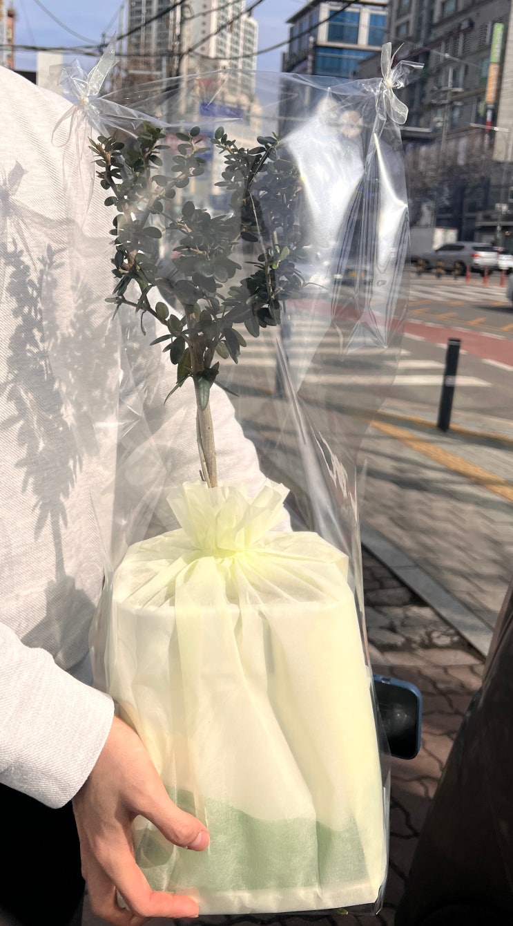 [W.01-여자친구ver.] 봄해언니네 / 부안한식디저트카페 / 수제한과선물세트 / 플레어(Plaire) / 화분 / 꽃다발 / 결혼준비 / 남자친구 부모님 첫인사 / 내돈내산