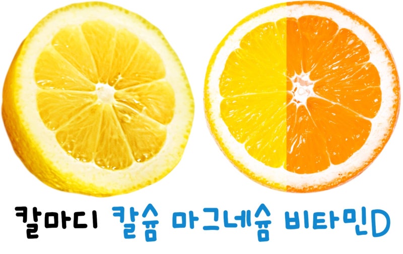 아임비타 칼마디 칼슘 마그네슘 비타민D 영양의 삼총사 종근당