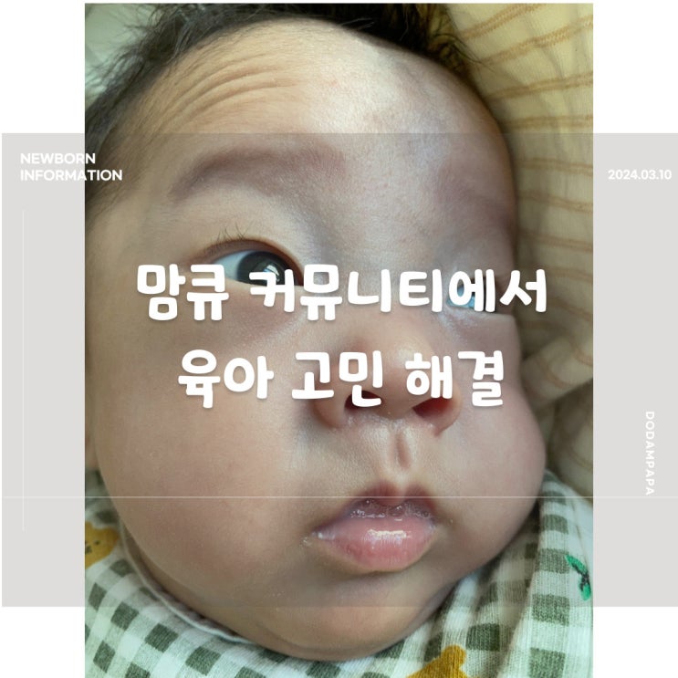 맘큐 커뮤니티에서 육아 고민 해결 맘큐 커뮤니티에서 육아 고민 해결