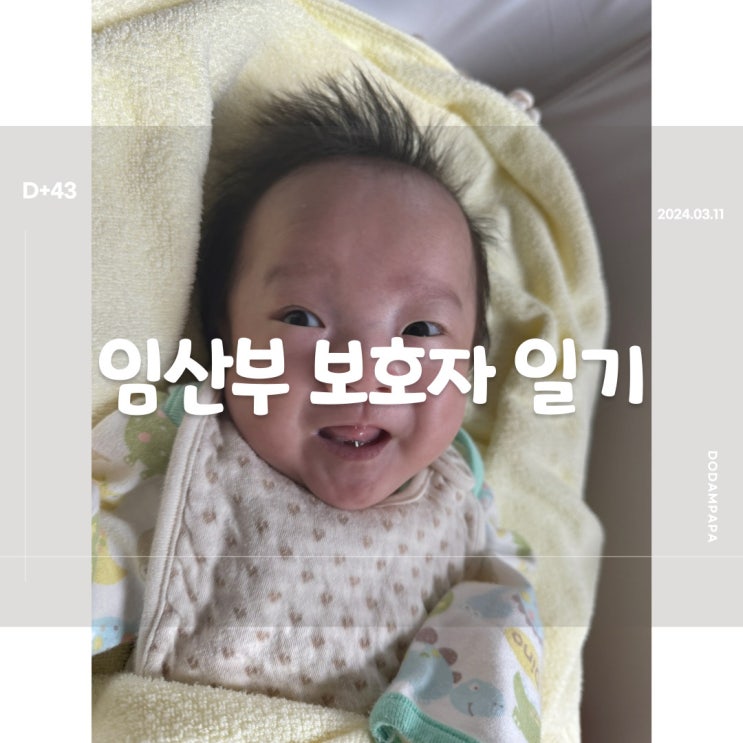 2024.03.11 임산부 보호자 일기 D+43일 2024.03.11 임산부 보호자 일기 D+43일