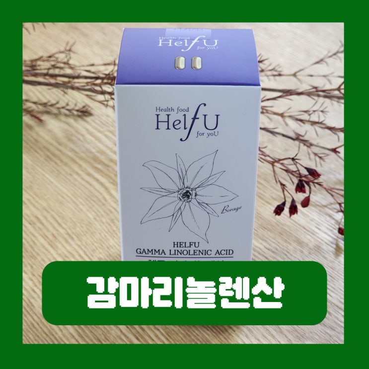  생리전 월경전 예민한 이유 감마리놀렌산 추천