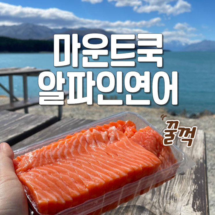  마운트쿡 알파인 연어 과연 그 맛은? 가격 주차 솔직 후기