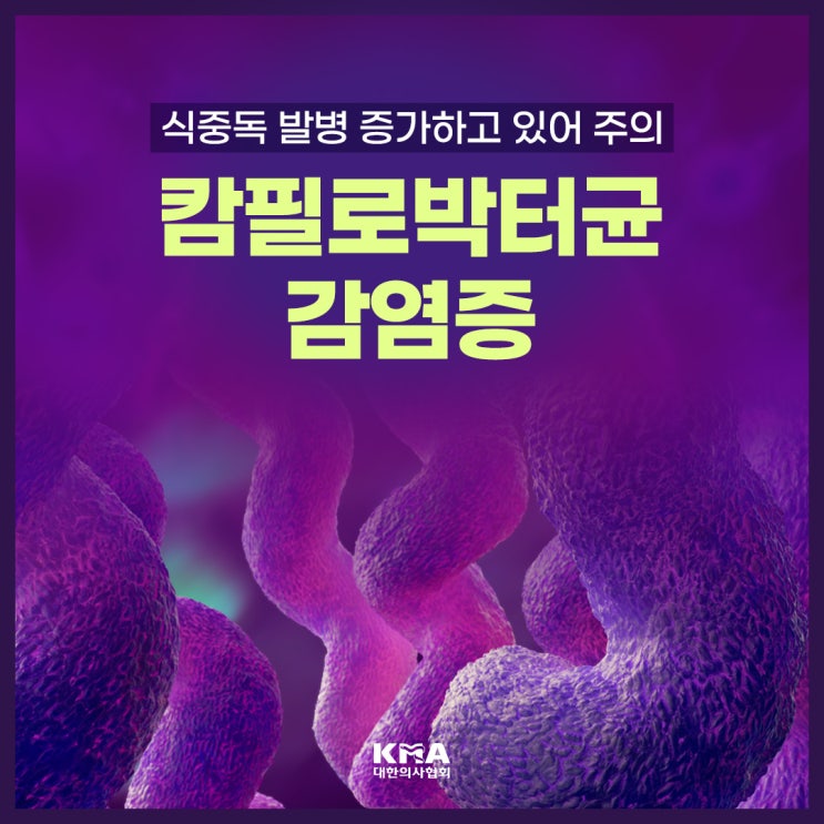  캄필로박터균 감염증, 식중독 발병 증가하고 있어 주의