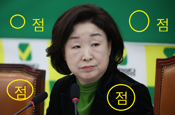 <b>심상정</b>의 <b>녹색</b> "녹조류<b>정의당</b>" 끝내  지지률 0%   - 경축... 