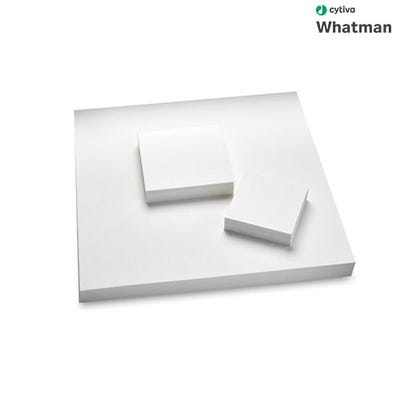 블라팅 페이퍼 Whatman Grade GB005 Blotting Papers