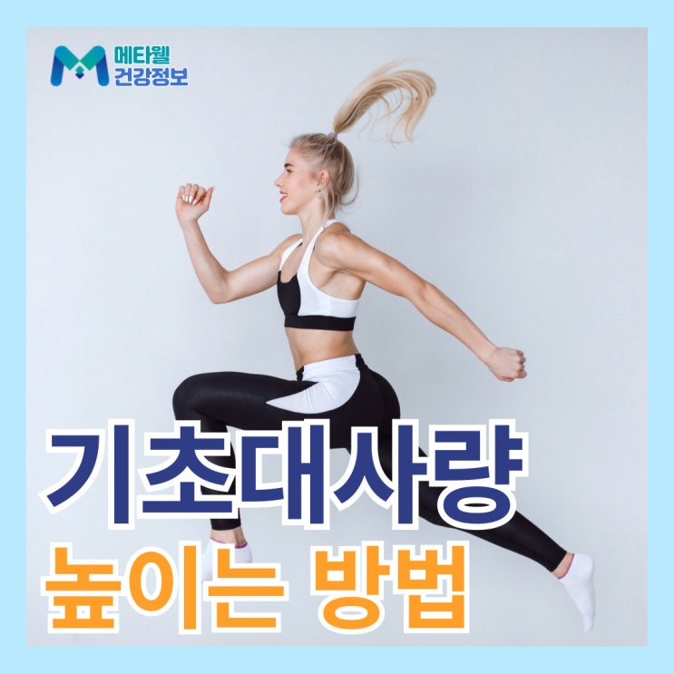  기초대사량 높이는 방법, 성인 여자 남자 기초대사량 계산 다이어트 꿀팁 7가지 신진대사 높이는 방법
