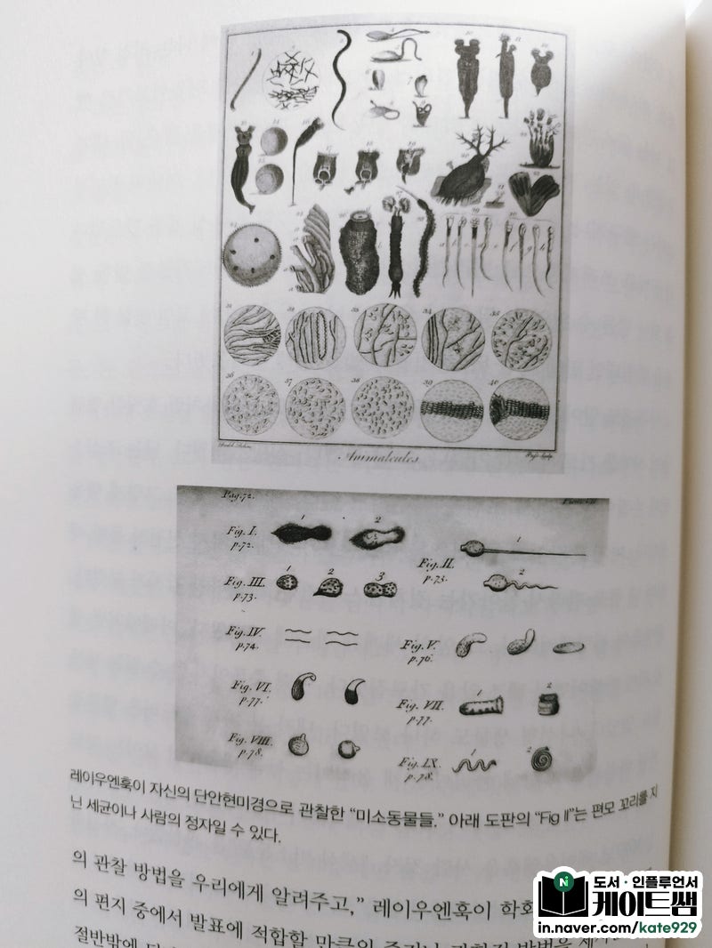 교재) 고급어휘 | PDF, image size:800x1066