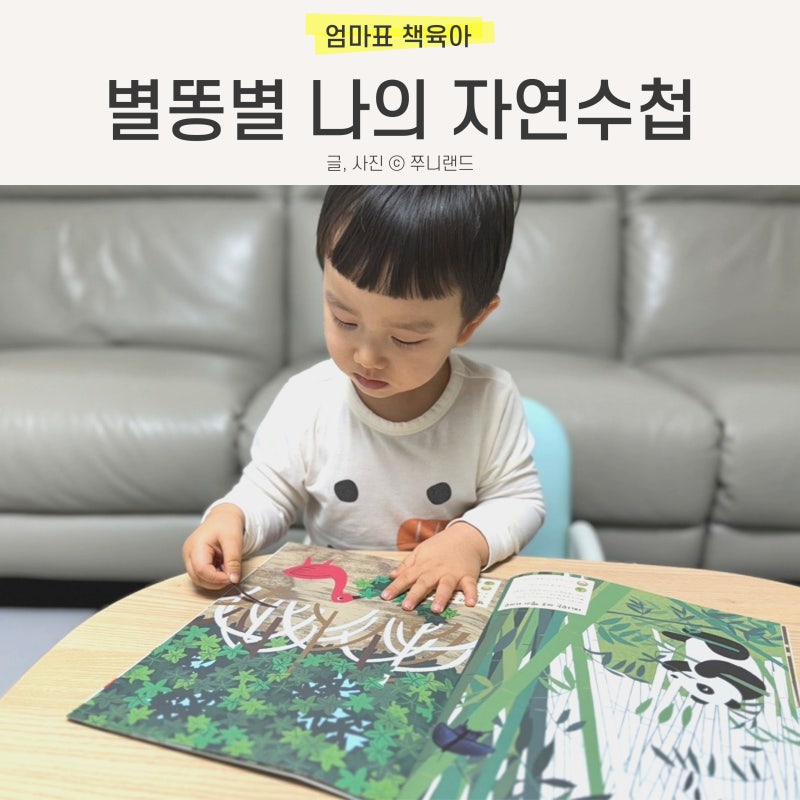 블로그 후기 사진