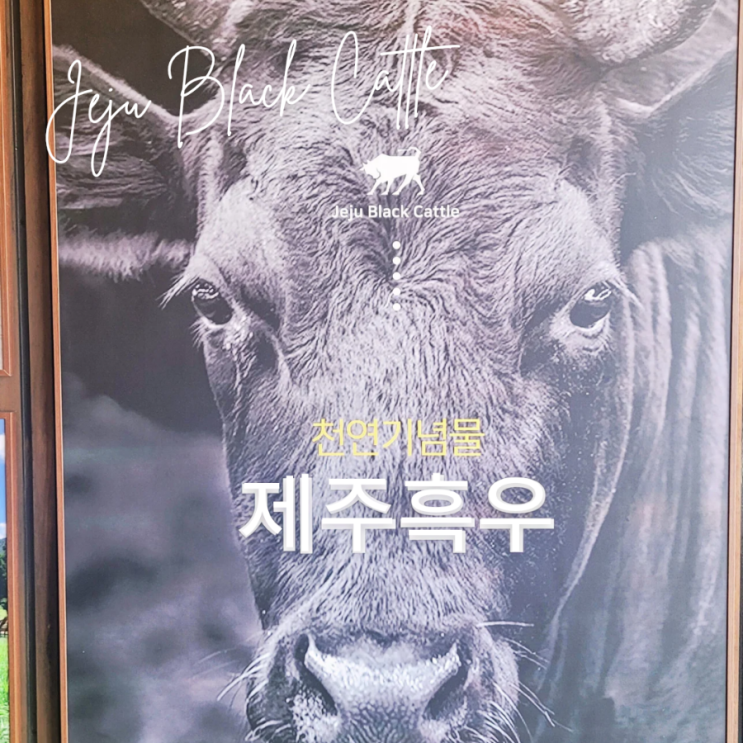  제주도 소고기 맛집 제주 흑우 프라이빗 한 공간에서 식사 아라동 맛집