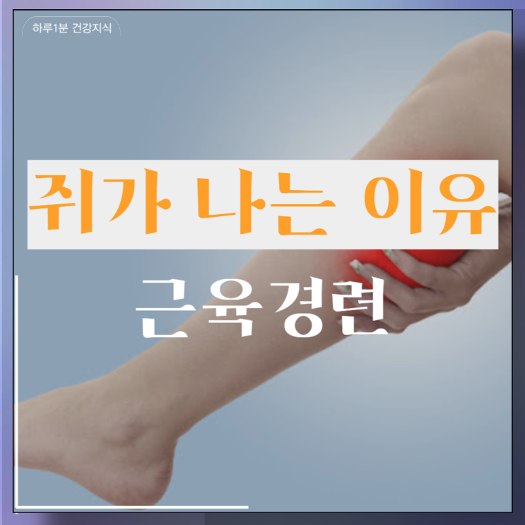  쥐가 자주 나는이유 종아리 다리 근육경련 증상