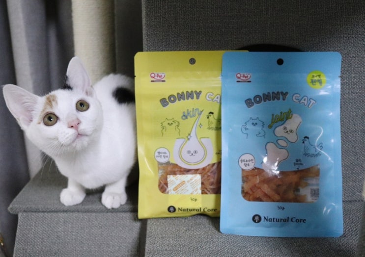 아기 고양이 간식 추천 관절건강엔 네츄럴코어 보니캣