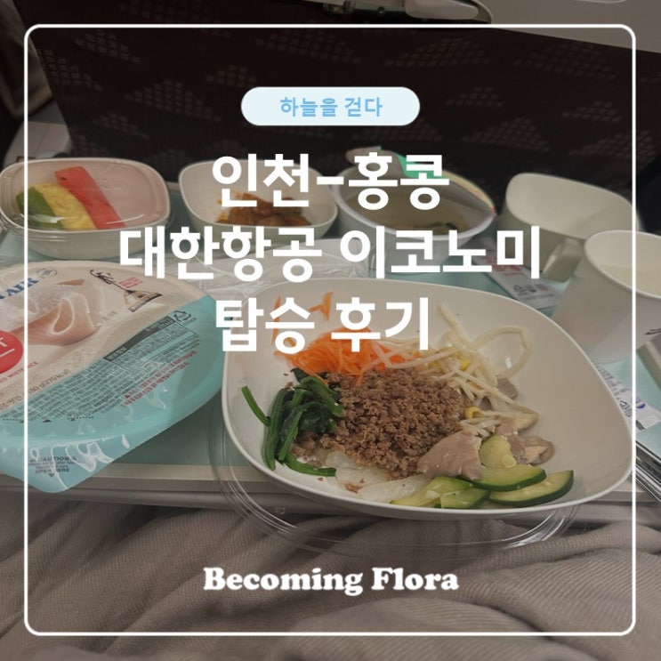  인천-홍콩 대한항공 이코노미 왕복 탑승 후기