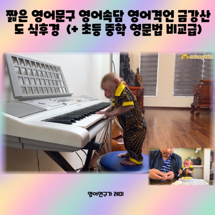 짧은 영어문구 영어속담 영어격언 금강산도 식후경 (+ 초등 중학 영문법 비교급 영어독학) 짧은 영어문구 영어속담 영어격언 금강산도 식후경 (+ 초등 중학 영문법 비교급 영어독학)