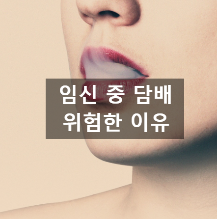  임신 기간 중 담배 피우면 안 되는 이유