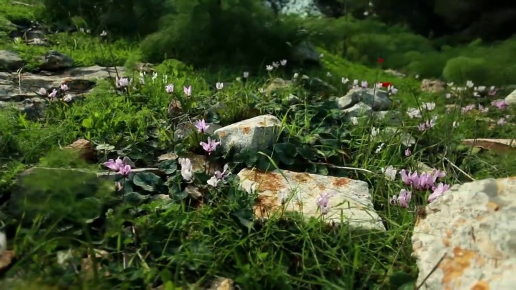  학점은행제 편입 과제 살펴보아요 .
